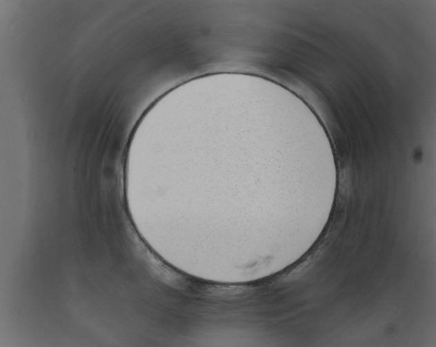X0000089461150200707061257