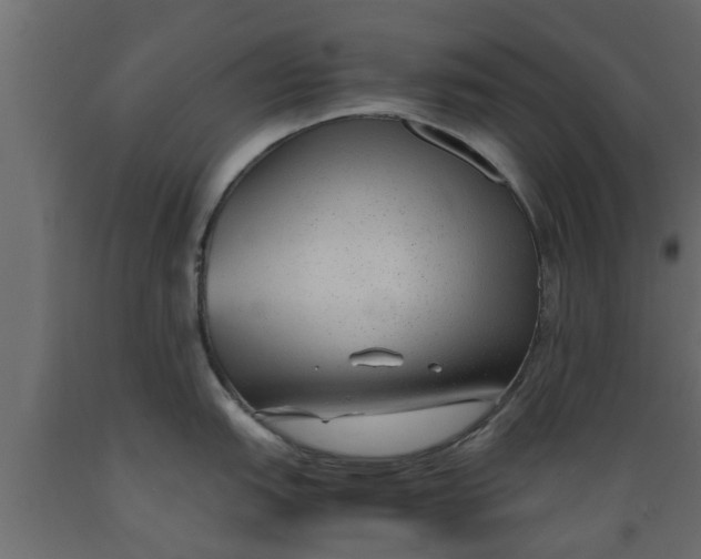 X0000089461151200707061257