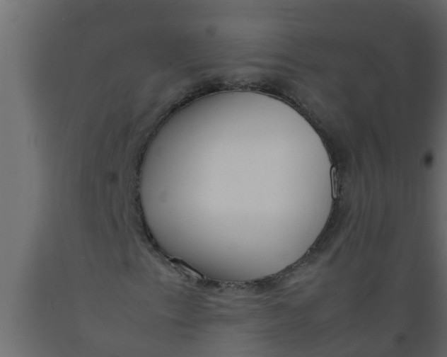 X0000089461153200707061257
