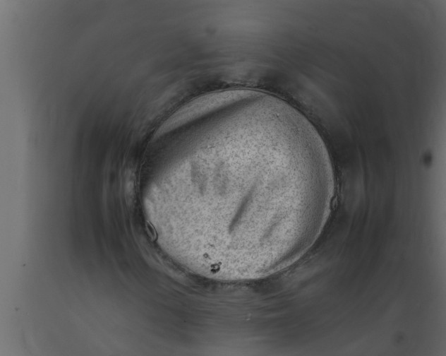 X0000089461154200707061257