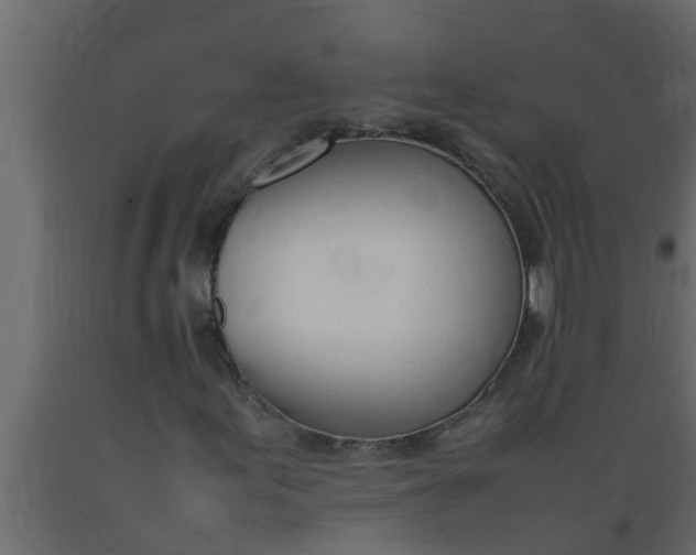 X0000089461155200707061257