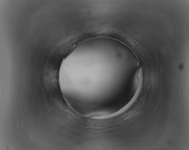 X0000089461156200707061257