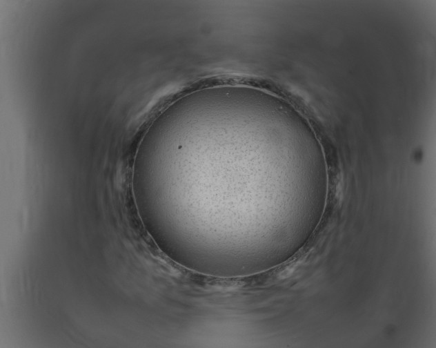 X0000089461157200707061257