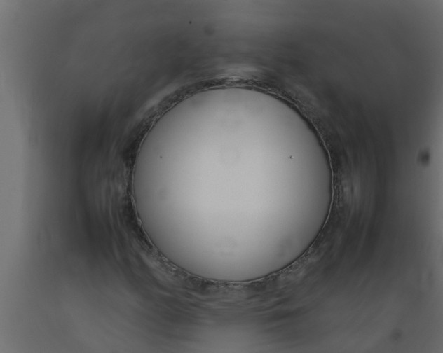 X0000089461158200707061257