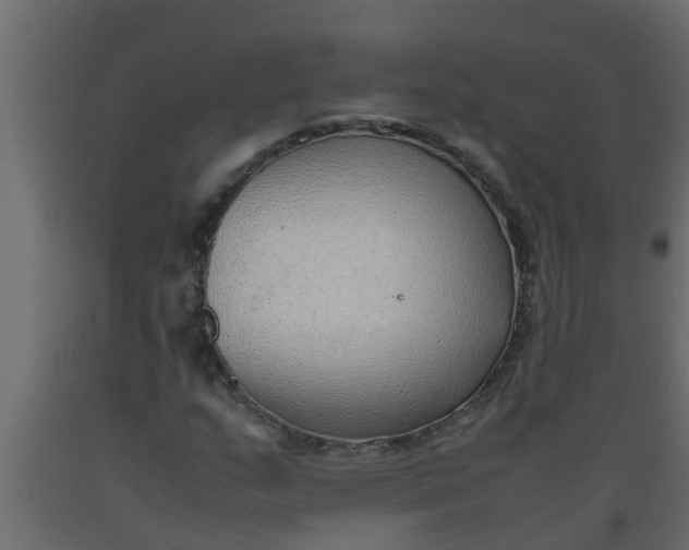 X0000089461159200707061257