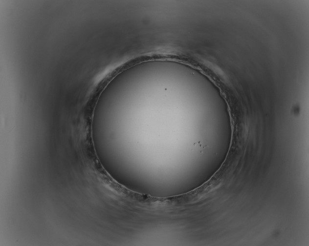 X0000089461160200707061257