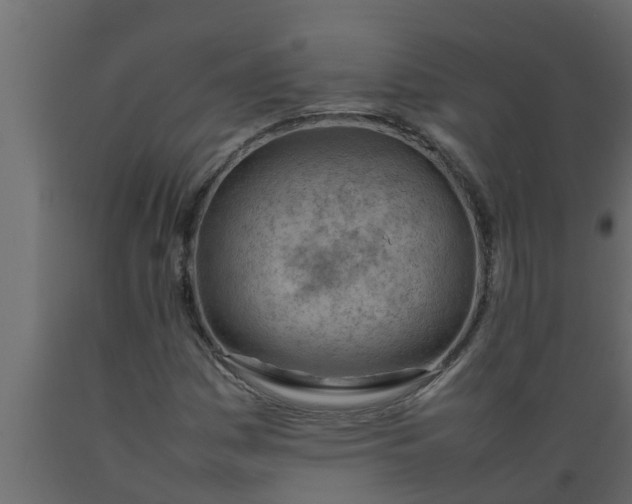 X0000089461161200707061257