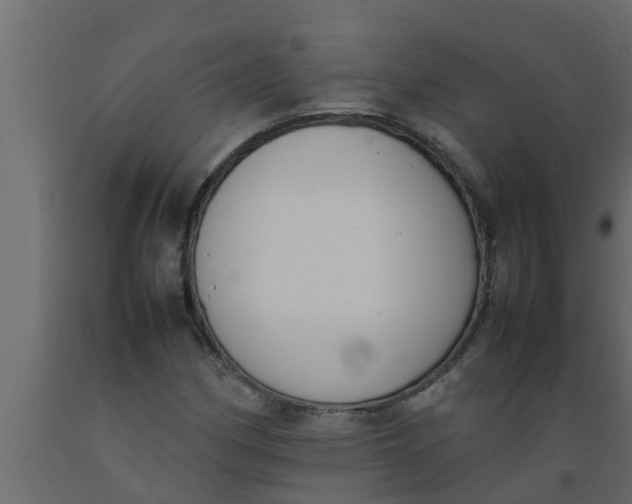 X0000089461162200707061257