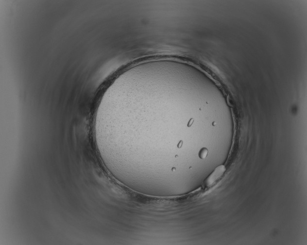 X0000089461163200707061257