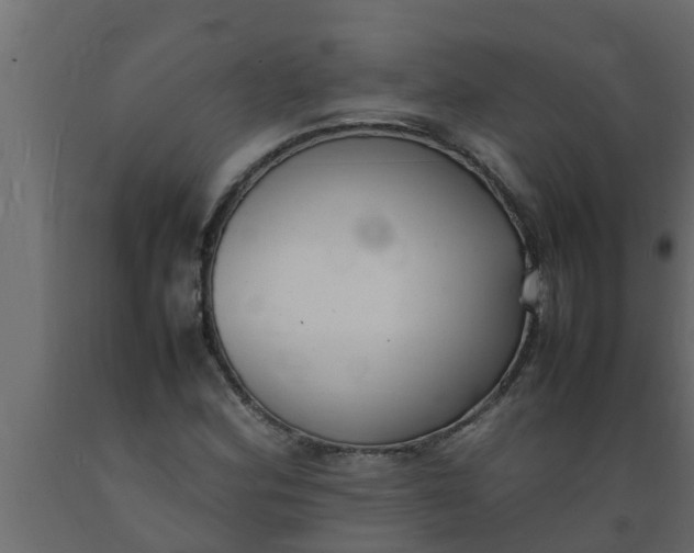 X0000089461164200707061257