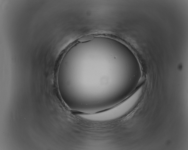 X0000089461165200707061257