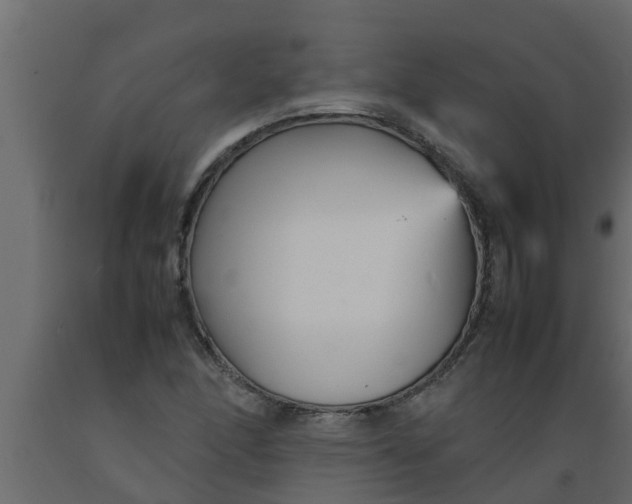 X0000089461166200707061257