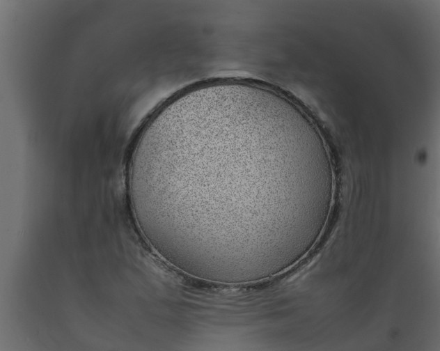 X0000089461167200707061257