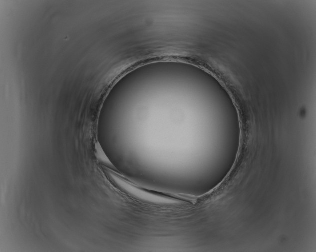 X0000089461169200707061257