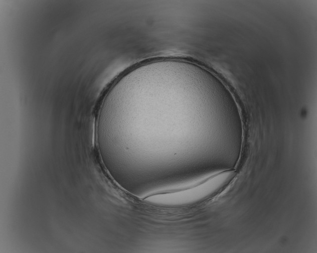 X0000089461171200707061257