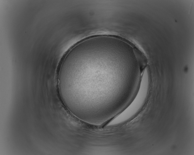 X0000089461173200707061257