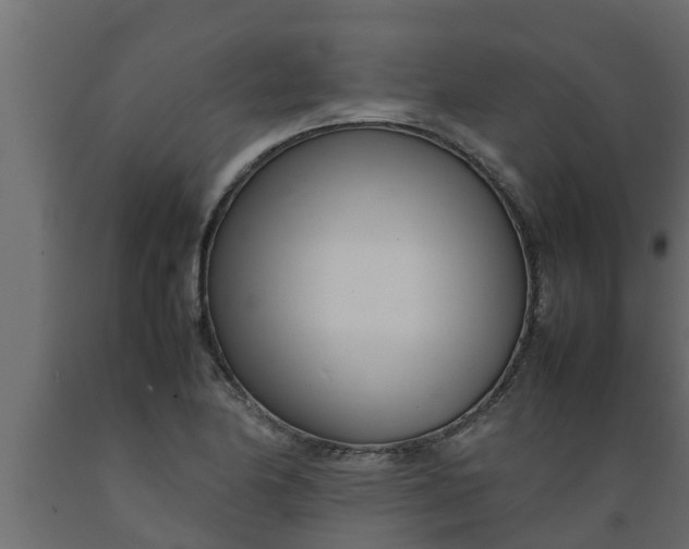X0000089461174200707061257