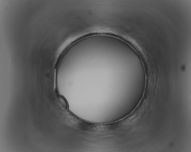 X0000089461175200707061257