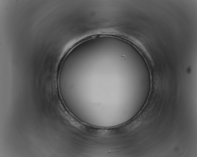 X0000089461176200707061257