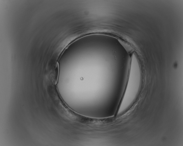X0000089461177200707061256