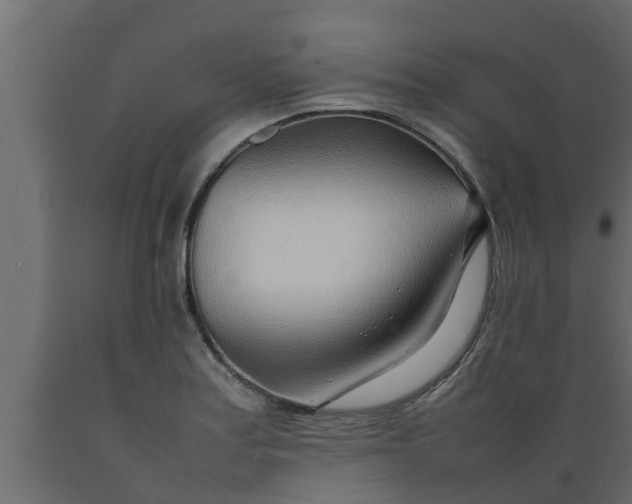 X0000089461179200707061256