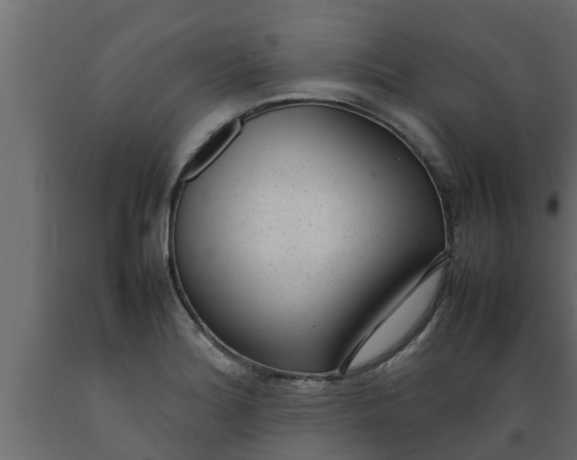 X0000089461180200707061256
