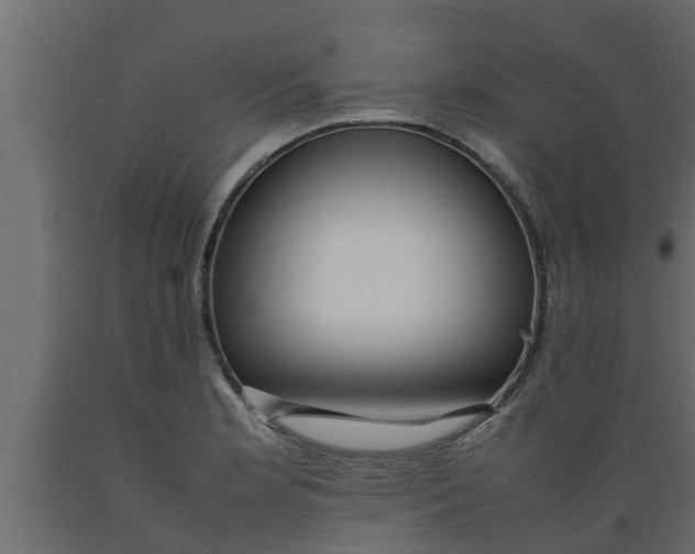 X0000089461181200707061256