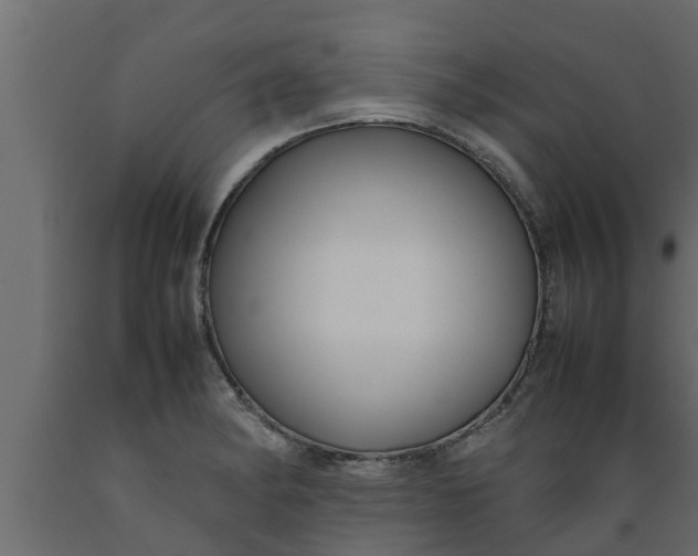 X0000089461182200707061256