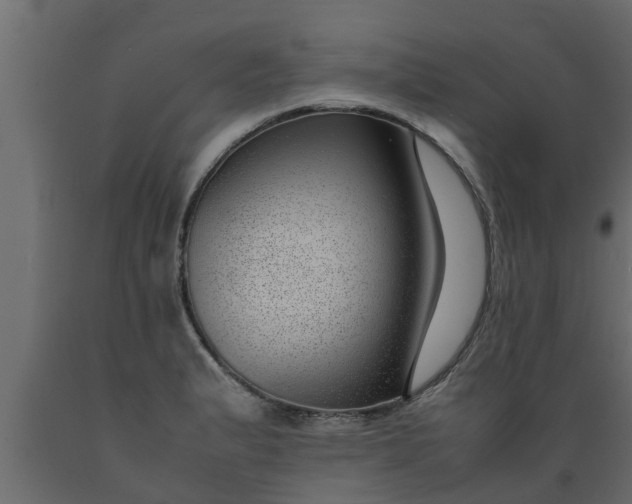 X0000089461183200707061256
