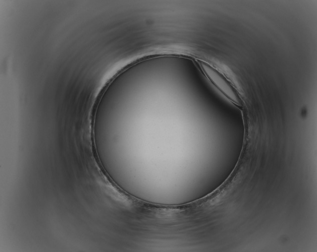 X0000089461184200707061256