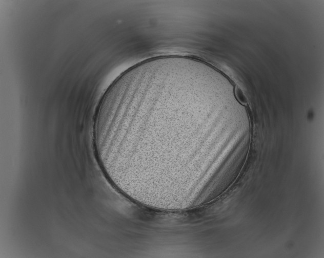 X0000089461187200707061256