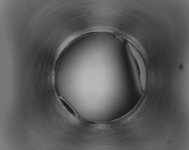 X0000089461188200707061256