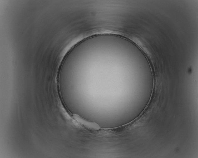 X0000089461189200707061256