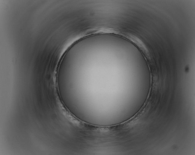 X0000089461190200707061256