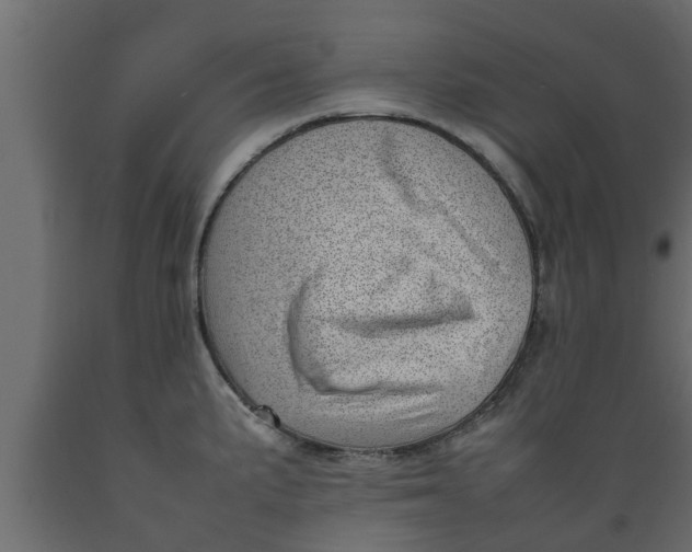 X0000089461191200707061256