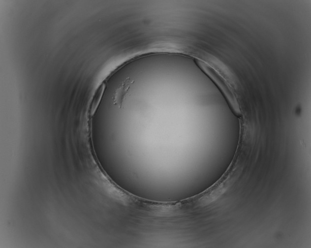 X0000089461192200707061256