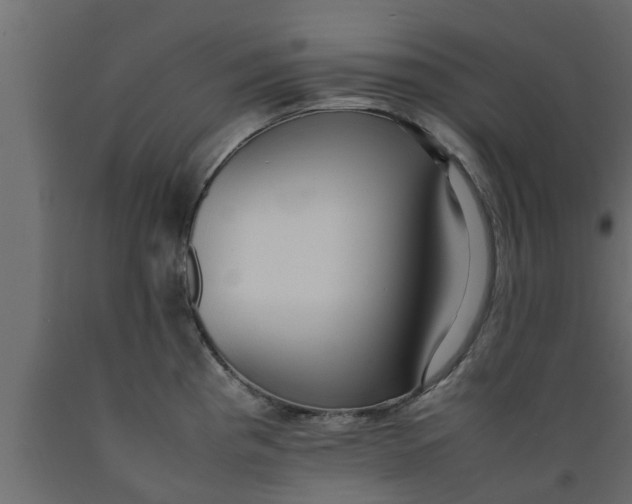 X0000089461193200707061256