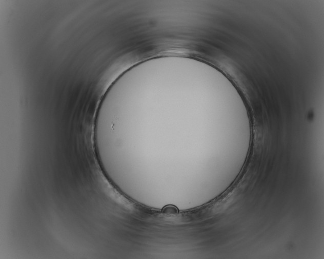X0000089461194200707061256