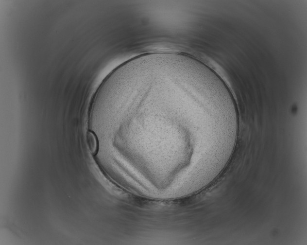 X0000089461195200707061256