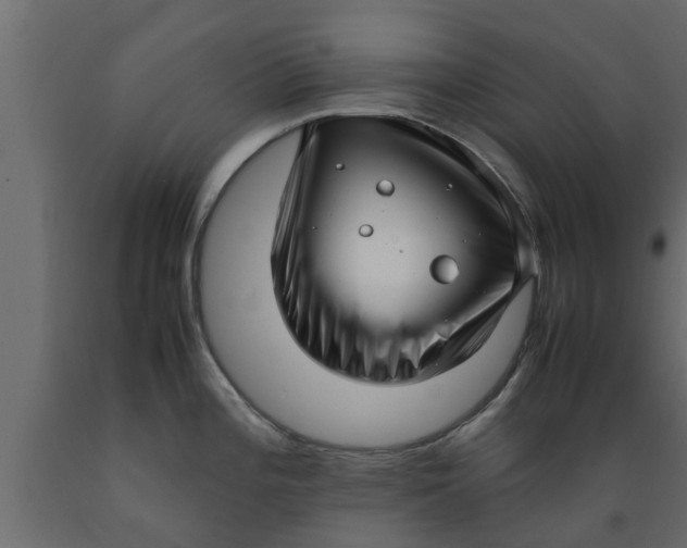 X0000089461196200707061256