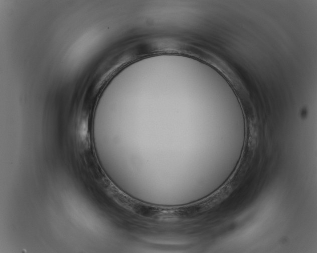 X0000089461198200707061256