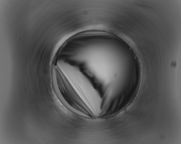 X0000089461200200707061256