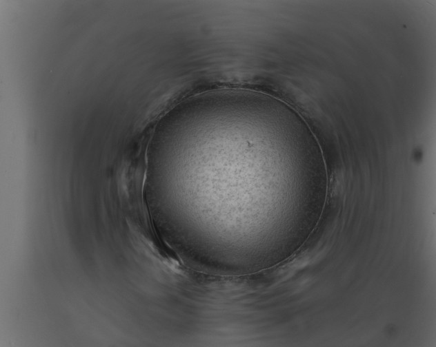 X0000089461202200707061256