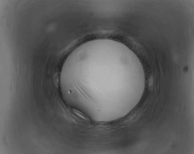 X0000089461204200707061256