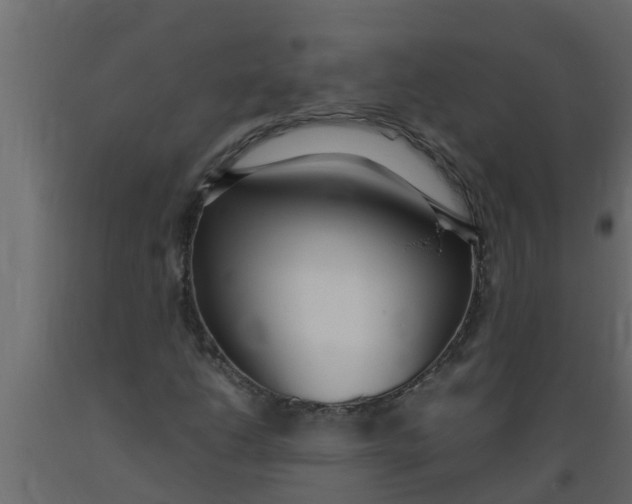 X0000089461206200707061256