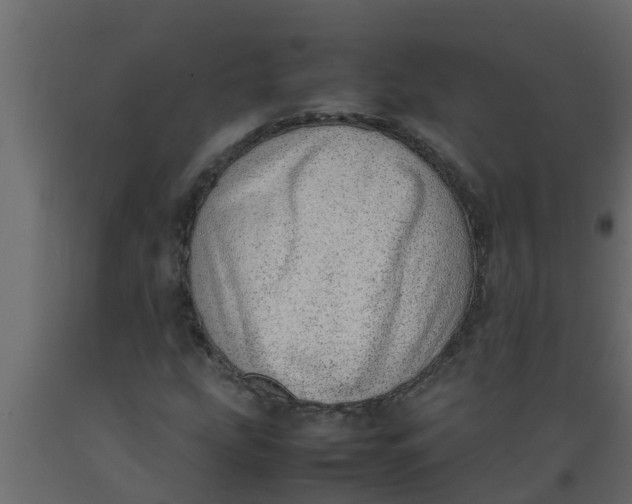 X0000089461207200707061256