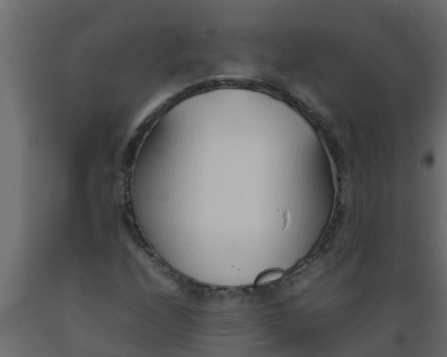 X0000089461208200707061256