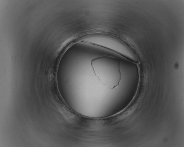 X0000089461210200707061256