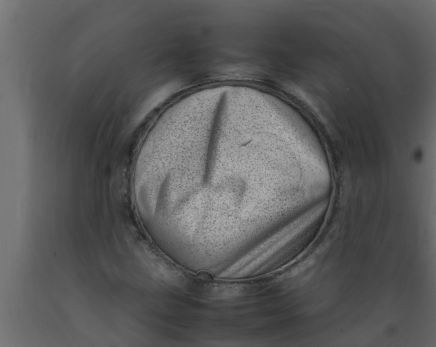 X0000089461211200707061256
