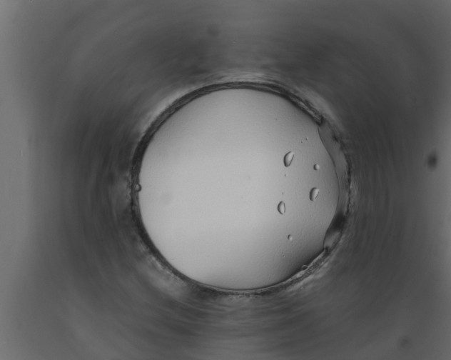 X0000089461212200707061256